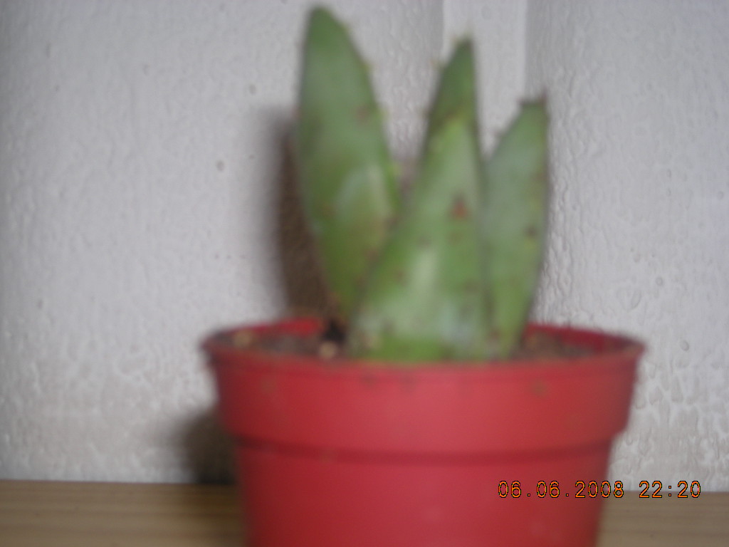 bwy1212791123w.JPG