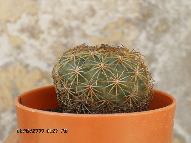 bwy1212809547u.jpg