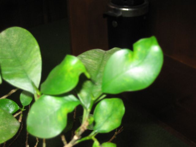 bwy1212857701r.jpg