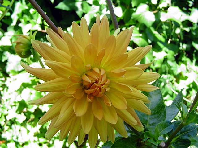bwy1220130191g.JPG