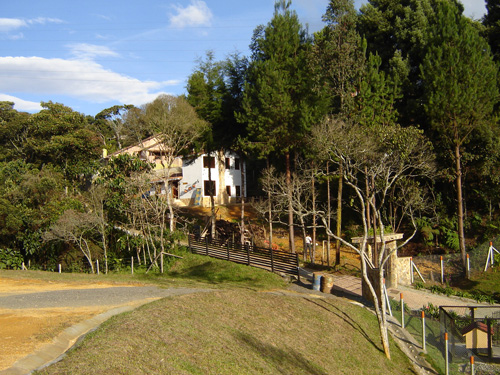 bwy1223820647o.jpg