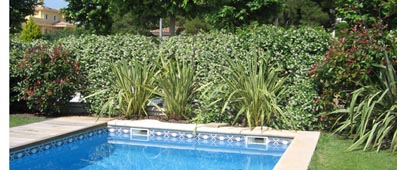 bwy1227008374w.jpg
