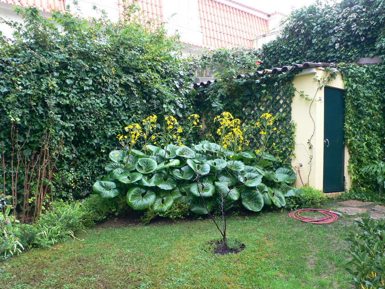 bwy1230878411g.JPG