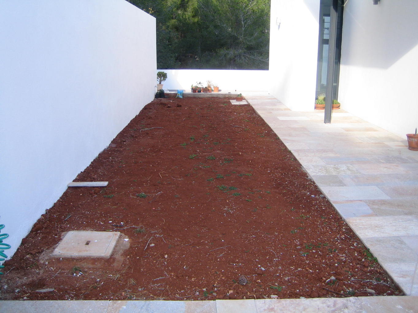 bwy1234723366v.JPG