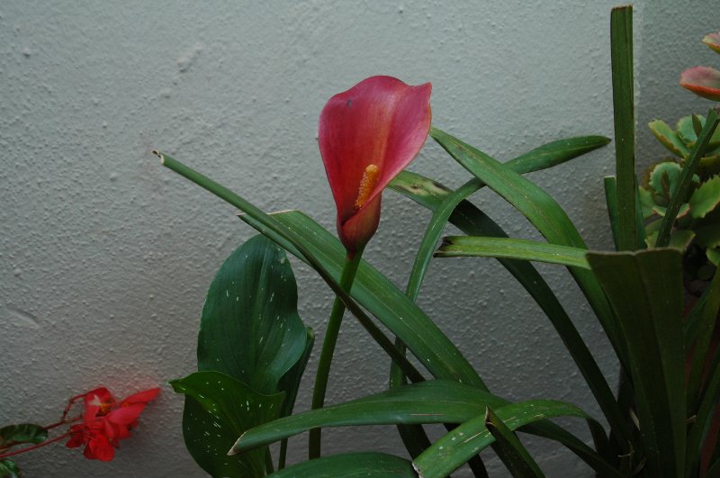 bwy1242010687z.jpg