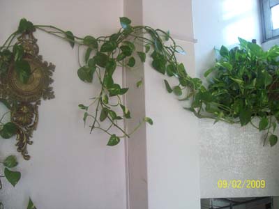 bwy1244801088l.jpg