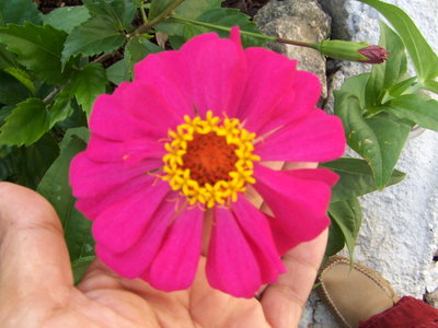bwy1246083870x.jpg