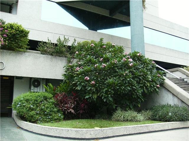 bwy1246812918u.jpg