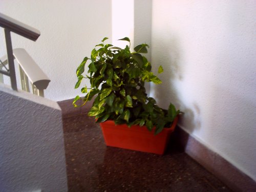 bwy1247970112b.JPG