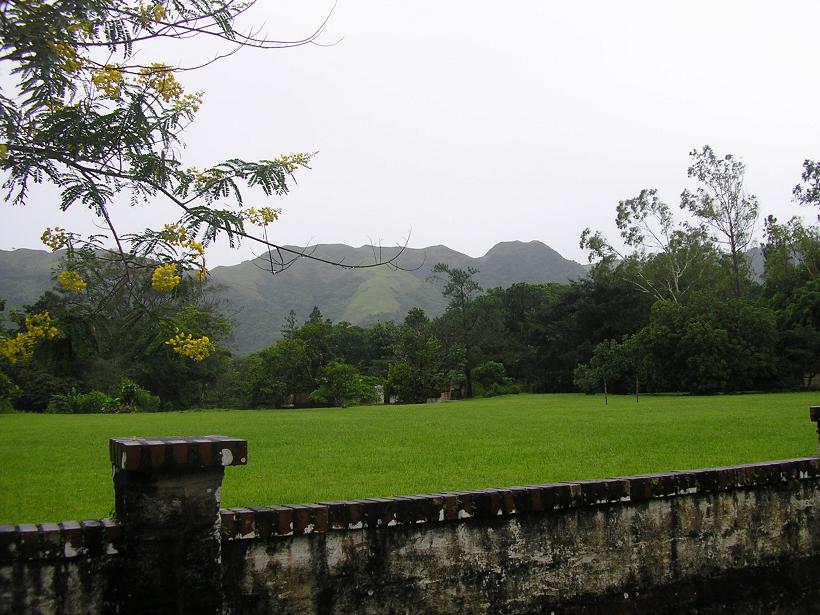 bwy1249719601k.JPG