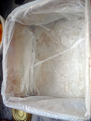 bwy1250916890l.jpg