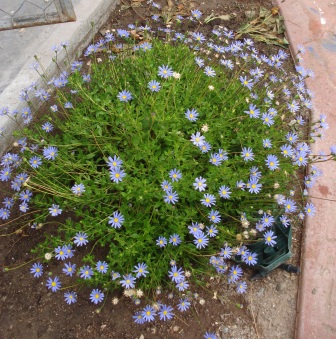 bwy1250925690m.JPG