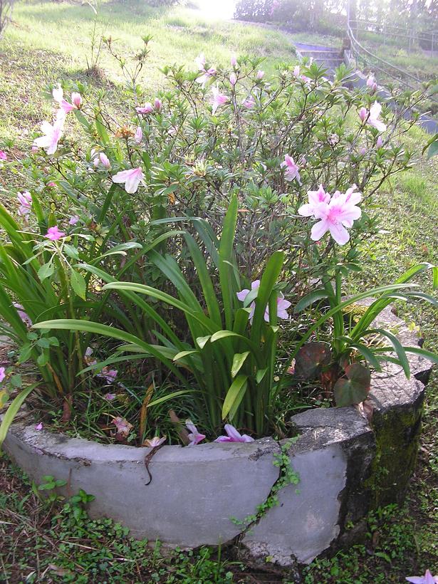 bwy1253554330s.JPG