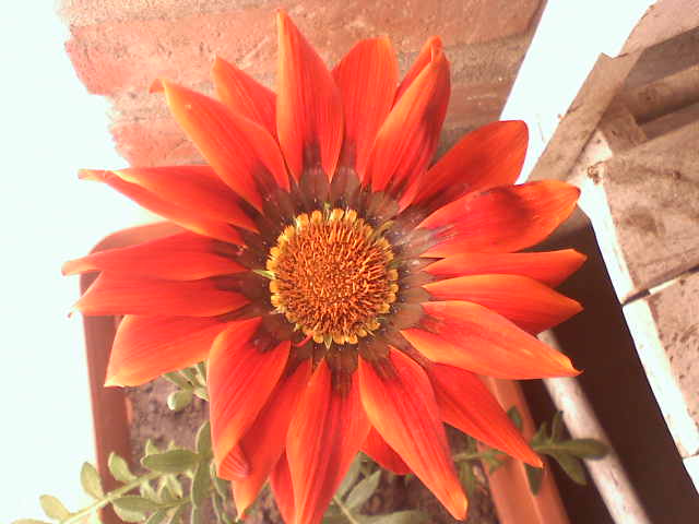 bwy1255327695g.jpg