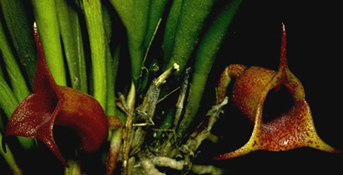 bwy1269048860u.jpg