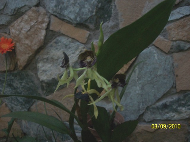 bwy1269917195q.JPG