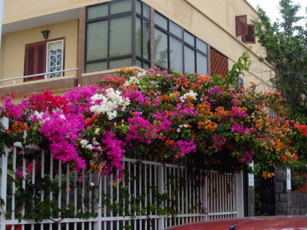 bwy1279594517e.JPG