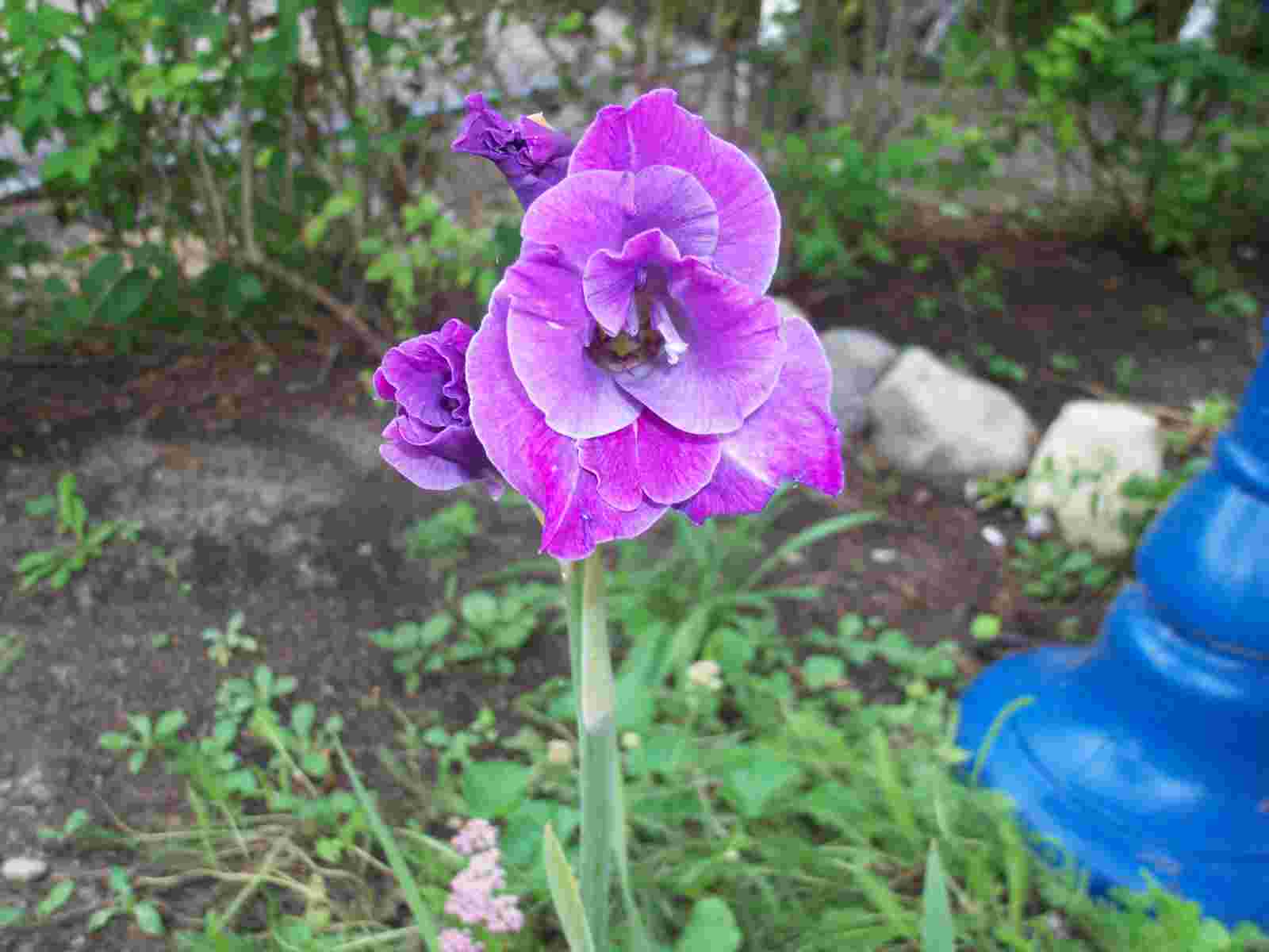 bwy1282346702h.jpg