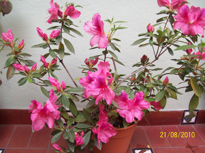 bwy1283055436g.jpg