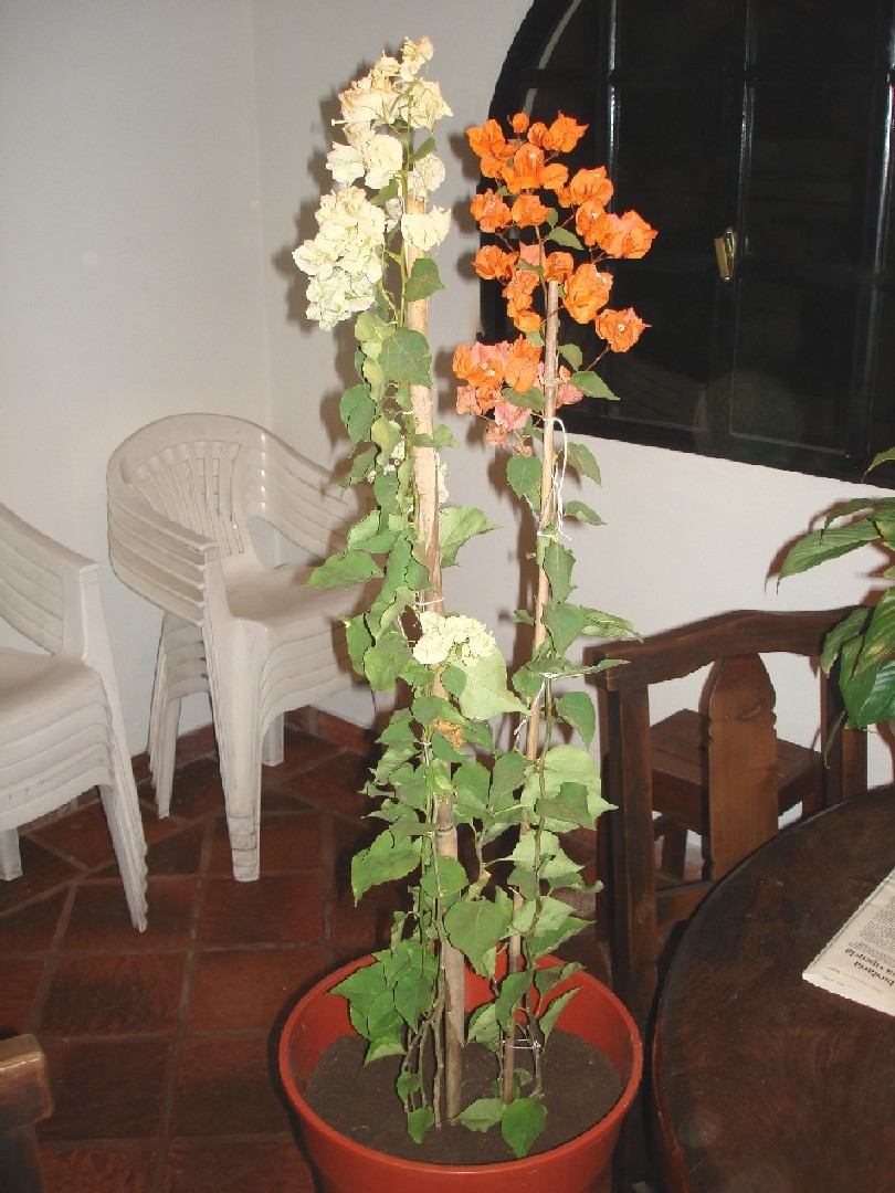 bwy1283580332a.JPG