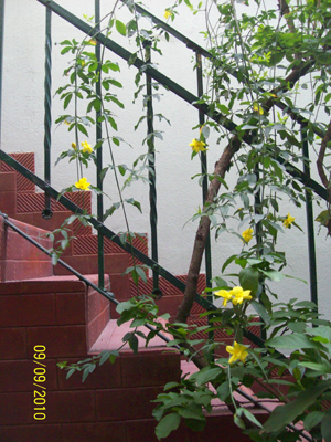 bwy1284192898o.jpg