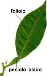 bwy1284543735p.jpg