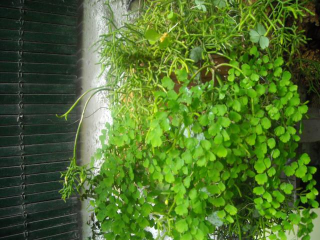 bwy1288550920w.jpg