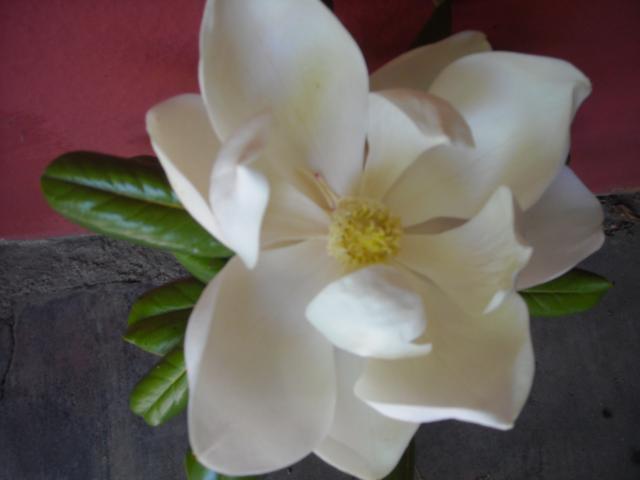 bwy1293571787d.jpg