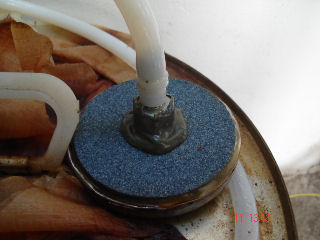 bwy1295047458g.JPG
