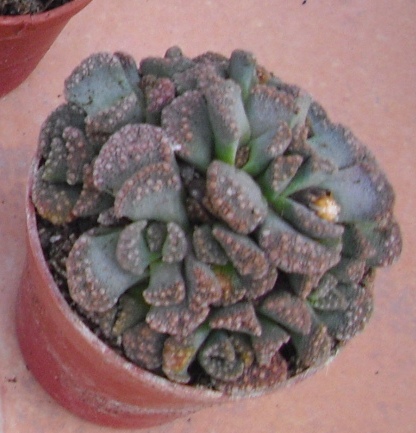 bwy1297013831x.jpg