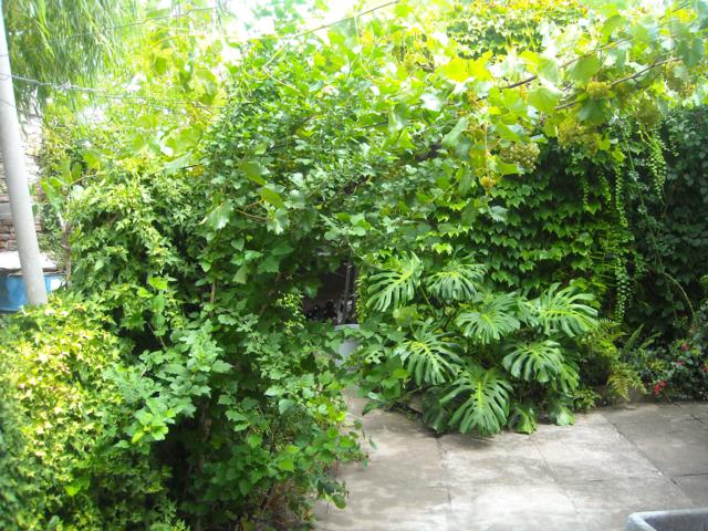 bwy1297887400r.jpg