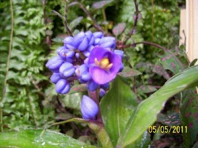 bwy1304704169l.jpg