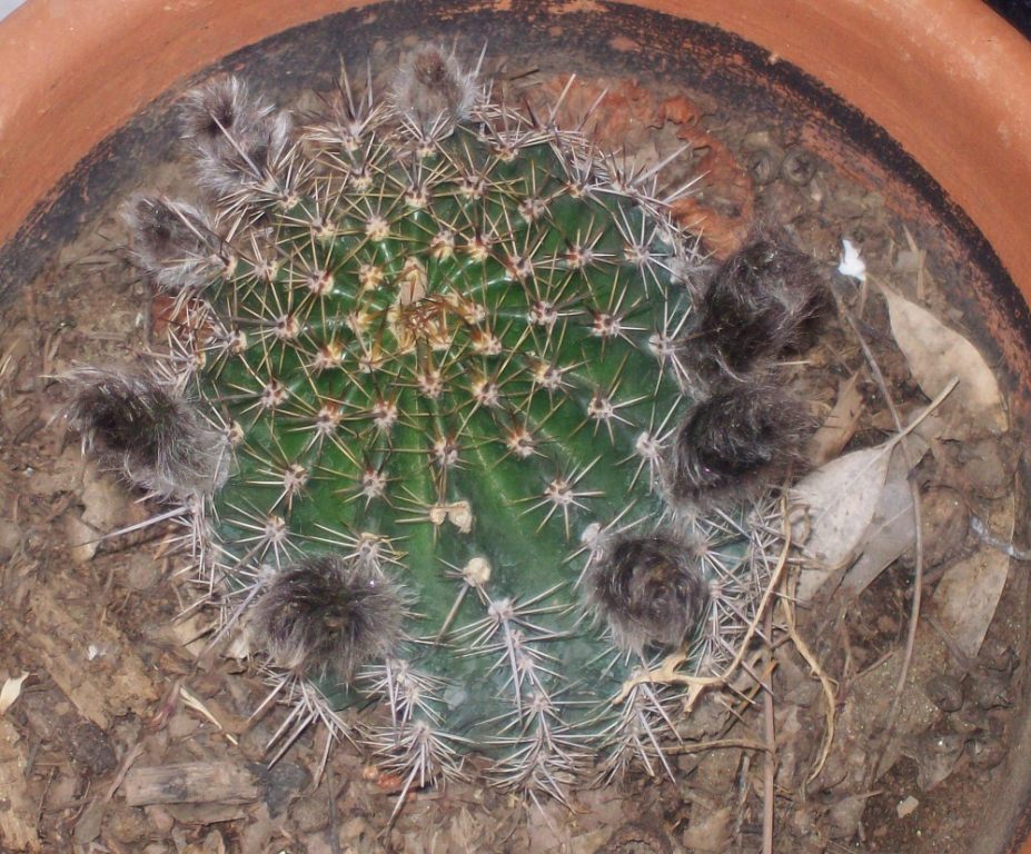 bwy1305675160j.JPG