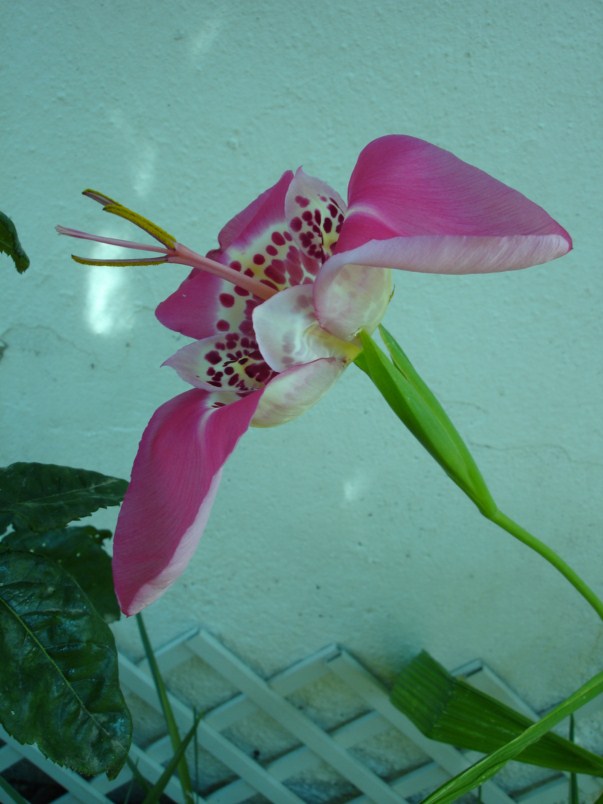 bwy1306100446b.JPG