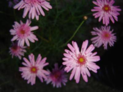 bwy1312144933m.JPG