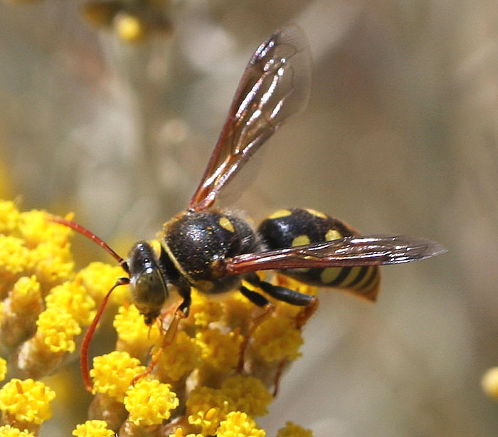 bwy1312146223w.jpg