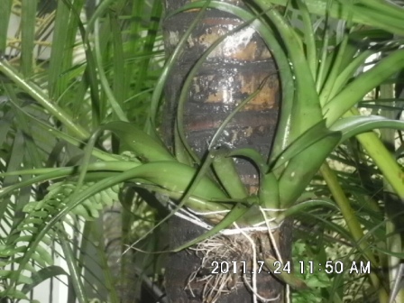 bwy1312146310m.JPG