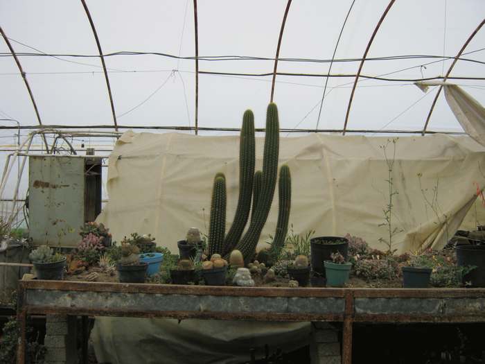 bwy1312200896i.jpg