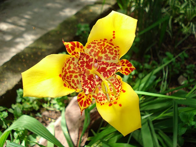 bwy1312323712a.JPG