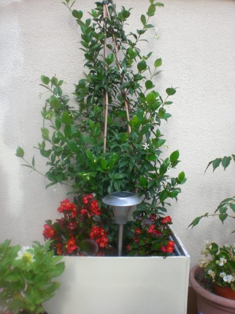 bwy1312464159a.jpg