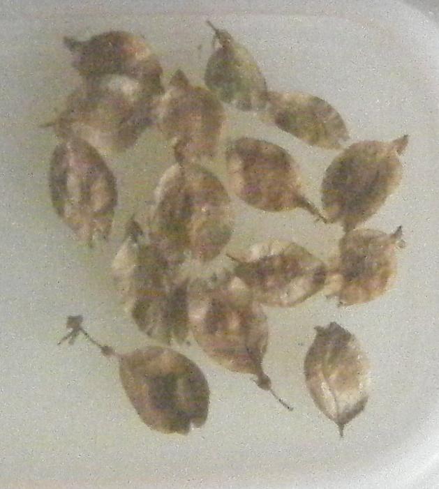 bwy1312489661a.jpg