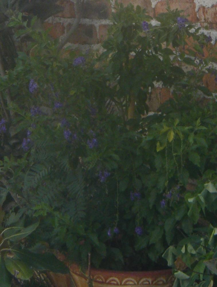 bwy1312496361a.jpg