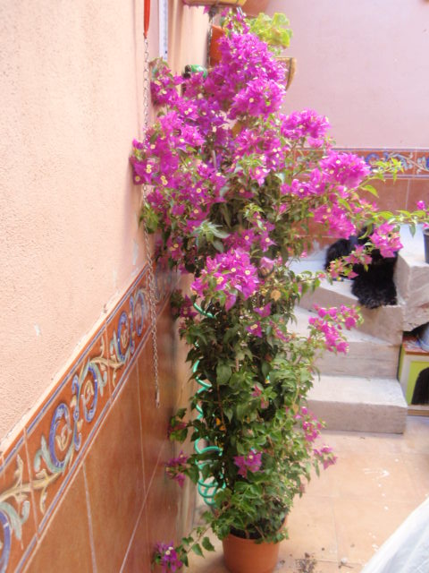 bwy1312654663d.JPG