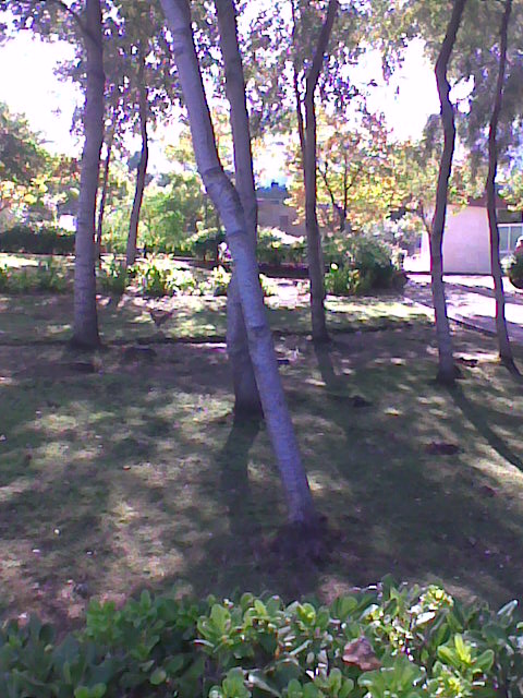 bwy1312707348j.jpg
