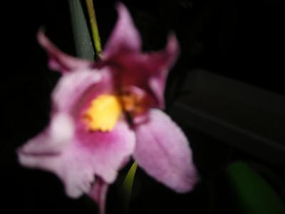 bwy1312720501b.JPG