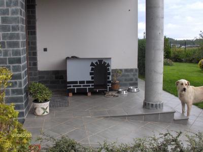 bwy1312737237v.JPG
