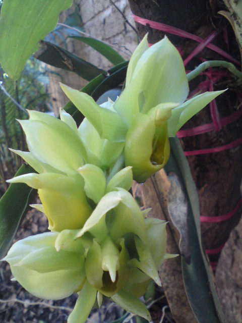 bwy1312740012g.JPG