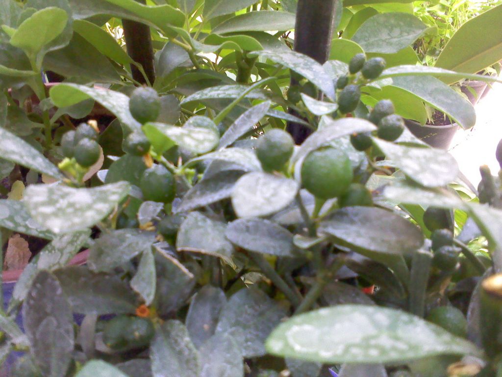 bwy1313000348m.jpg