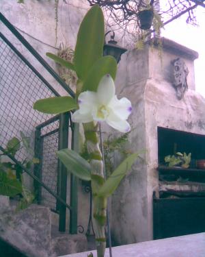 bwy1313078978q.jpg
