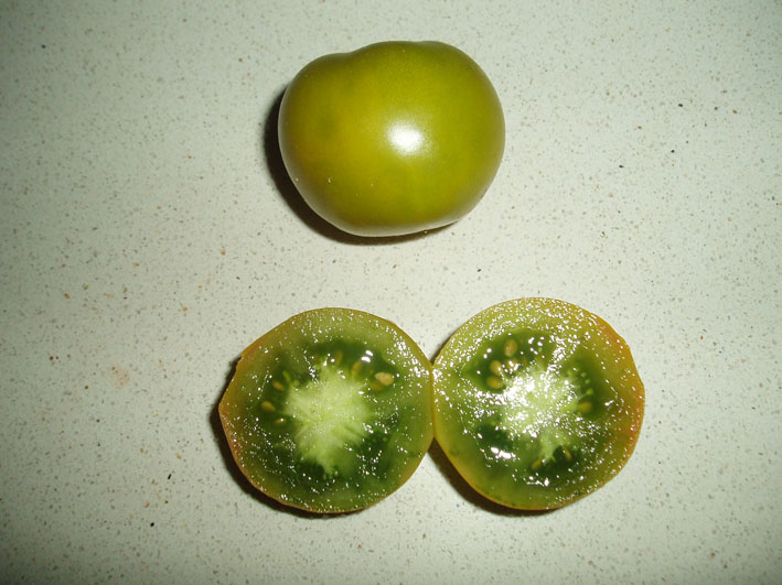 bwy1313096643m.jpg